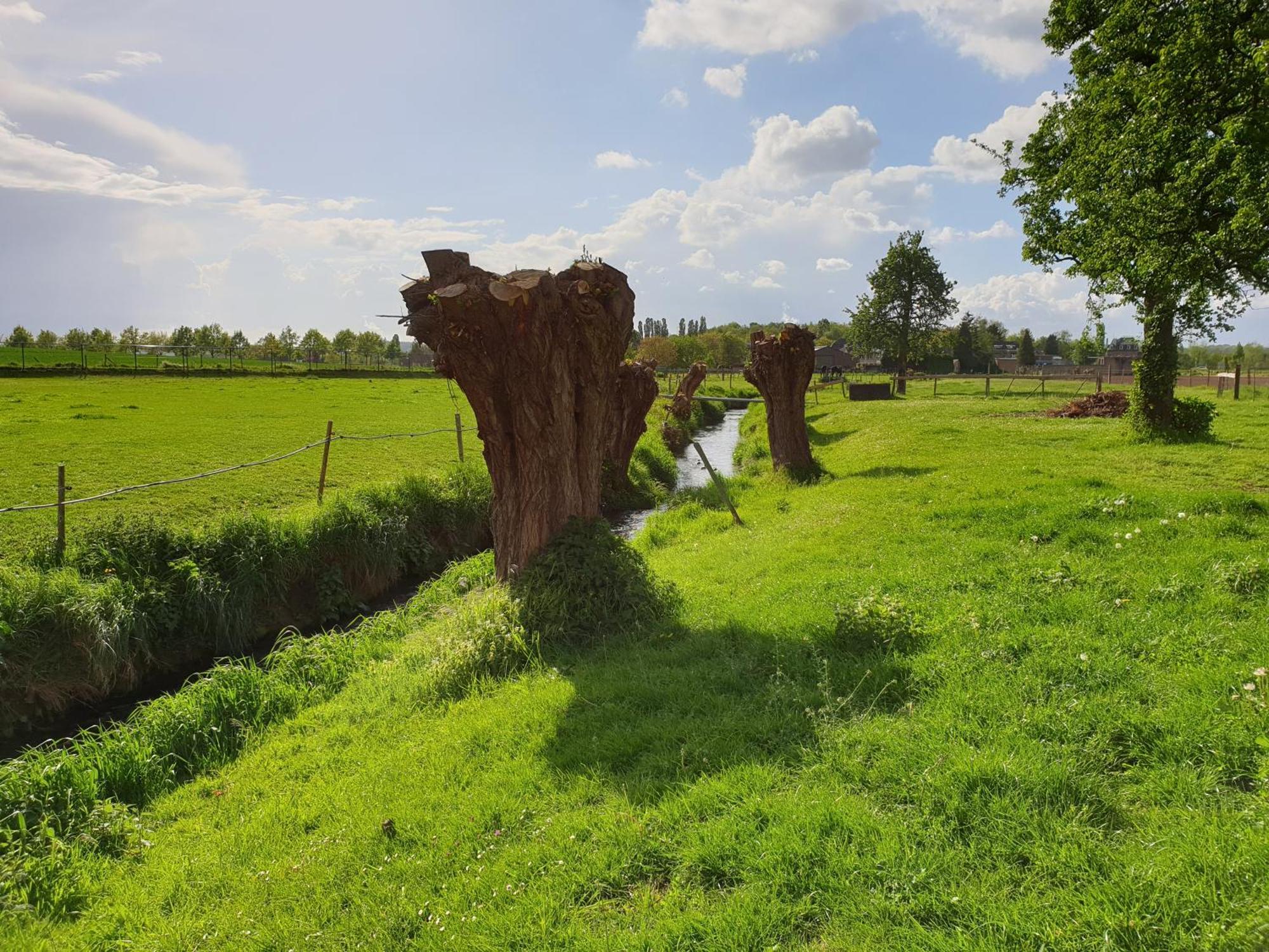 Meschermolen 13 Eijsden Luaran gambar
